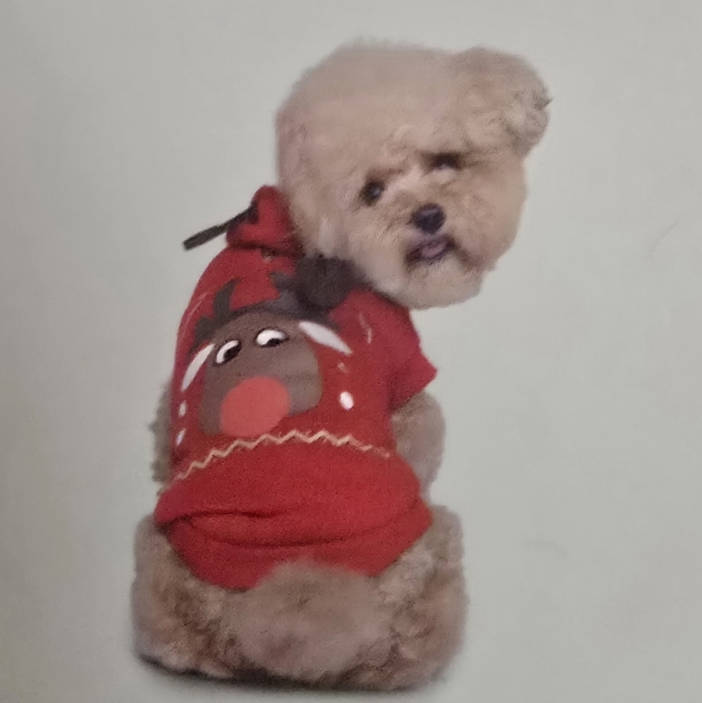 Red Reindeer Dog Hoodie with Antlers